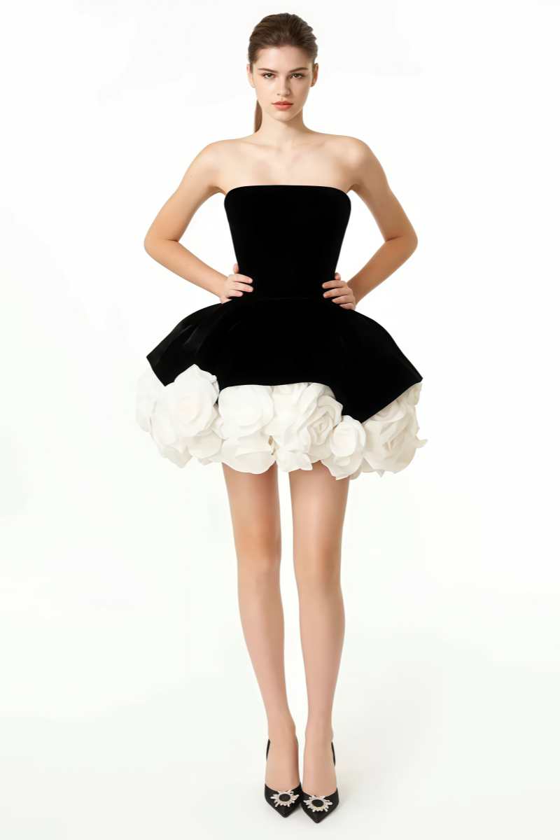 Anira Sleeveless 3D Floral Mini Dress