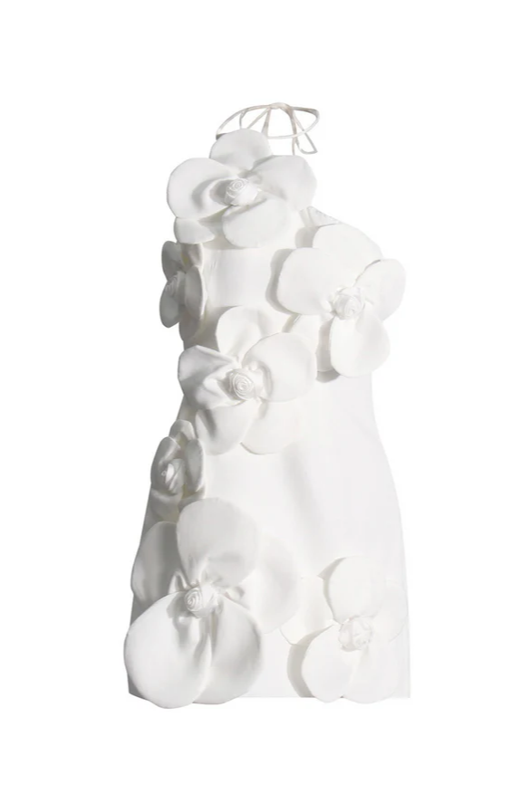 Elara Flower Backless Collar Mini Dress