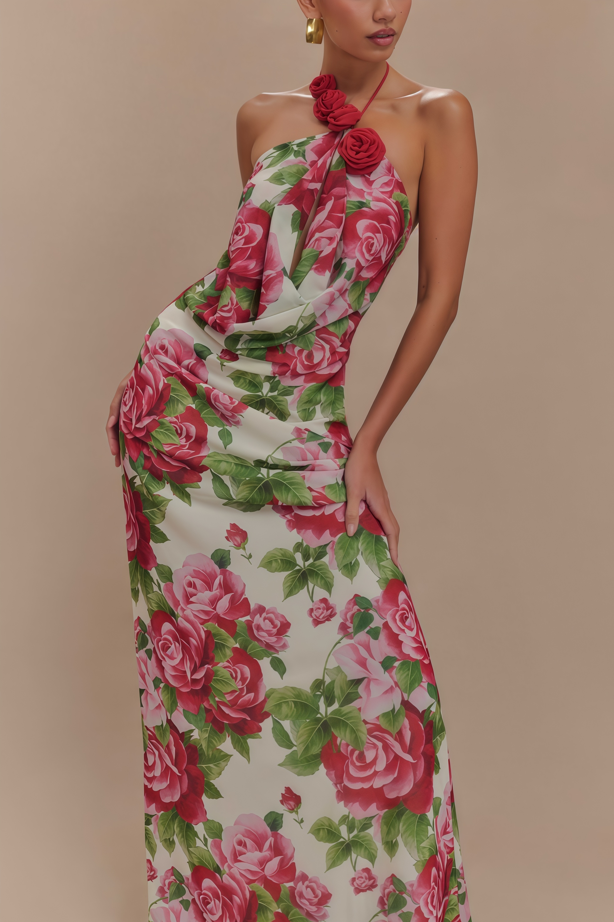 Ysraela Cowl Neck 3D Floral Maxi Dress
