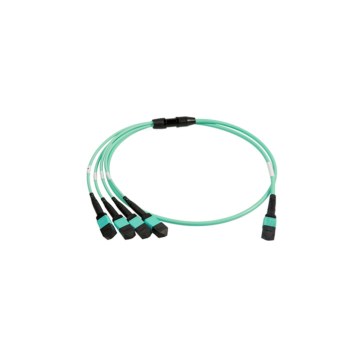 MPO-24 to 4x MPO (Female-Female) Multi-mode OM3 Fiber Fanout Splitter Cable Polarity Type A 