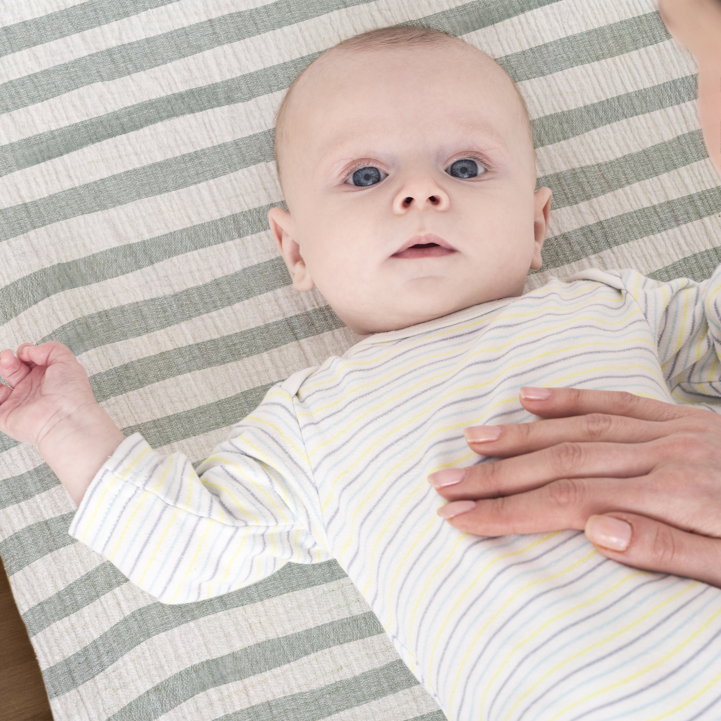 Farm life  | Muslin Bassinet Sheets 3-Pack | 33''*17''