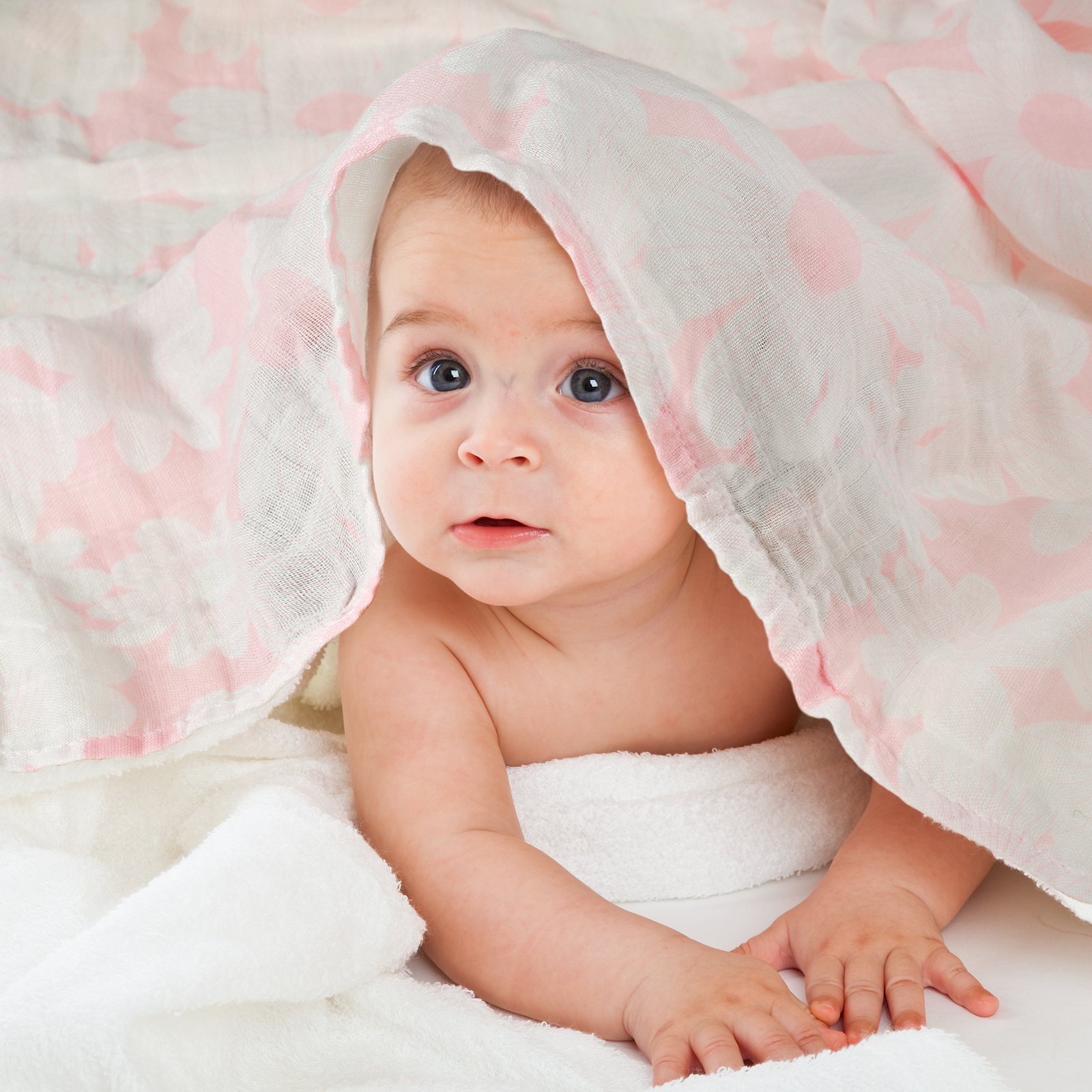 Muslin Swaddle Blankets 6-Pack, 28 X 28" - Rosebud