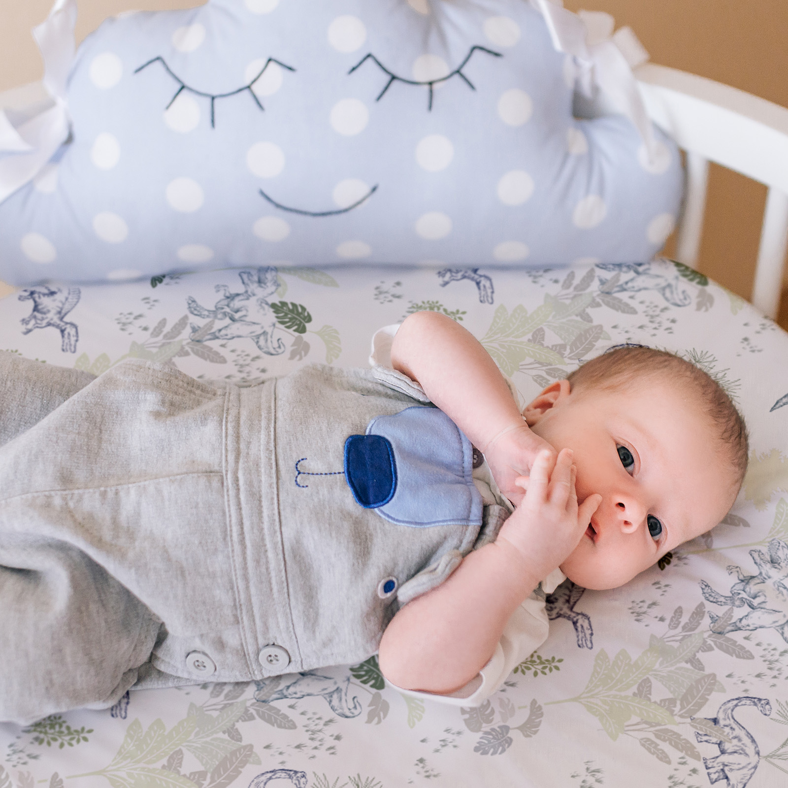 Dinosaur Fossil | Bassinet Sheets 2-Pack | 16''*32''