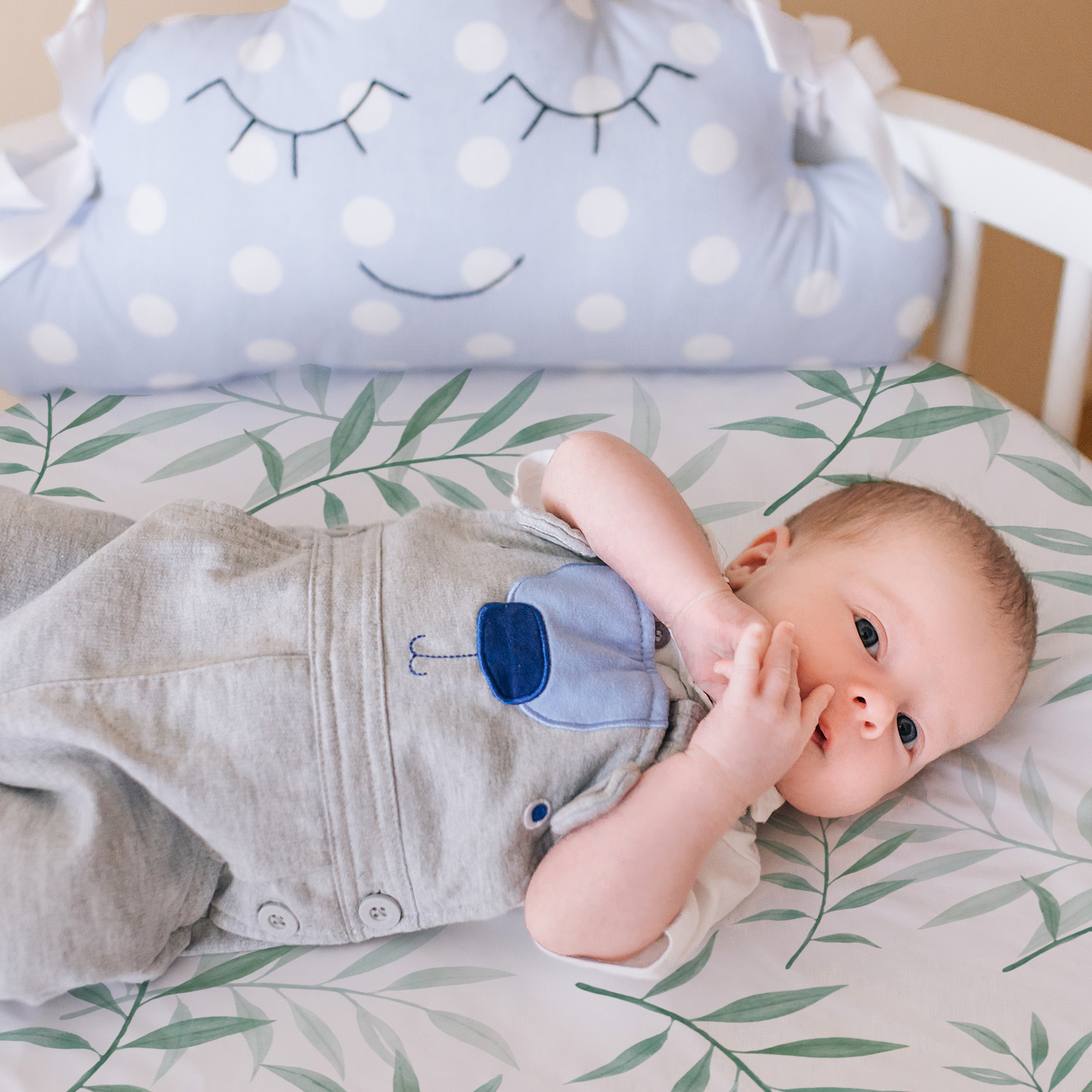 Eucalyptus | Bassinet Sheets 2-Pack | 16''*32''