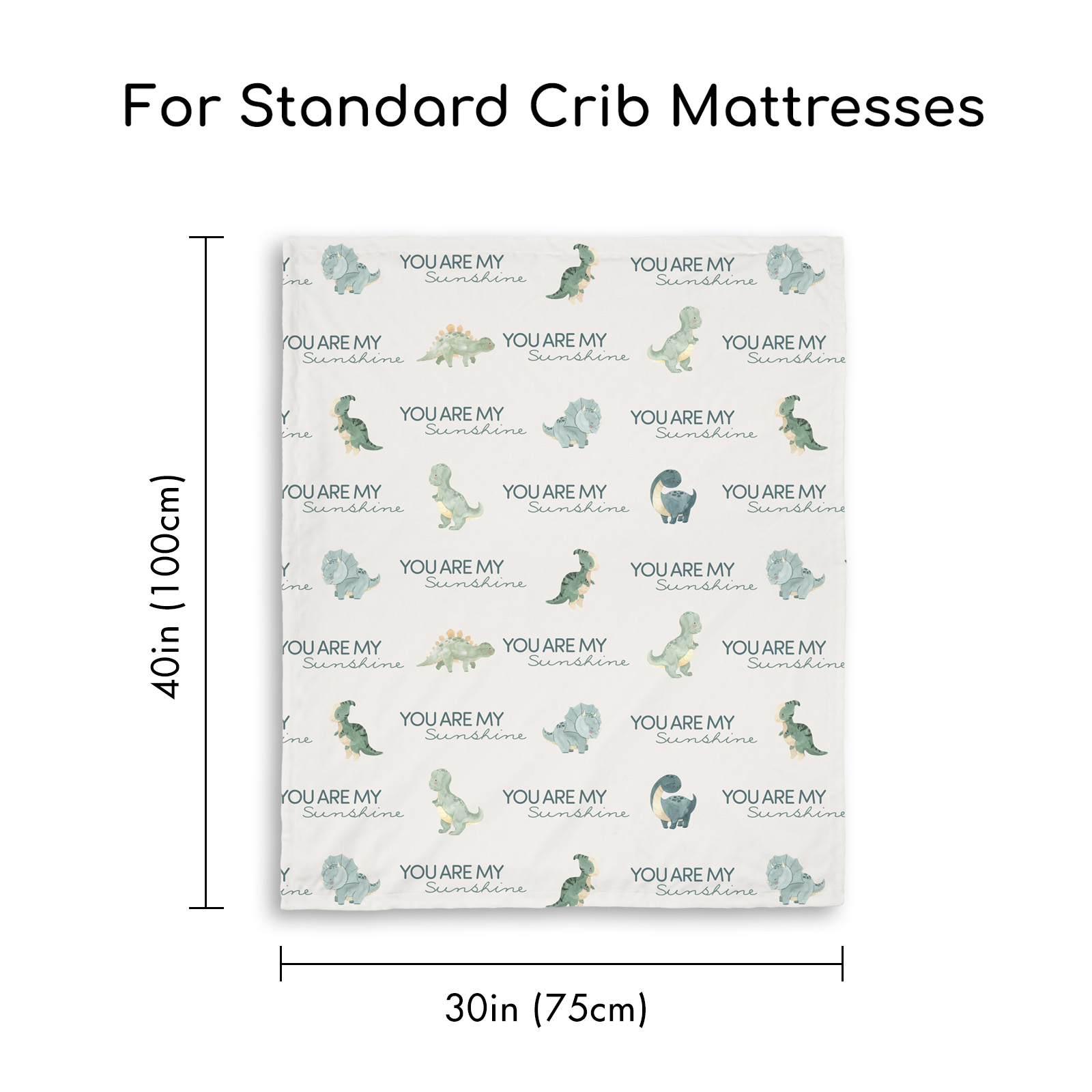 Dinosaur World | Fleece Plush Dot Blanket | 30''*40''