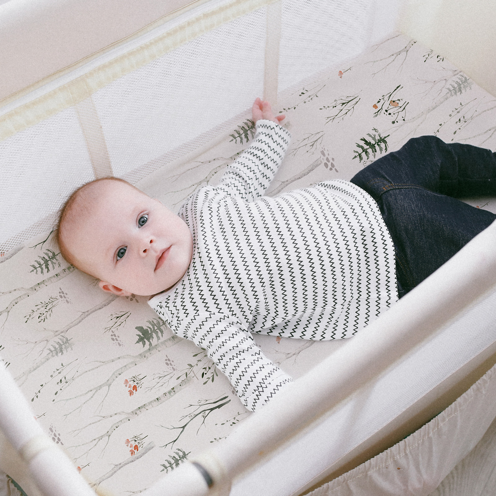 Natural History | Bassinet Sheets 2-Pack