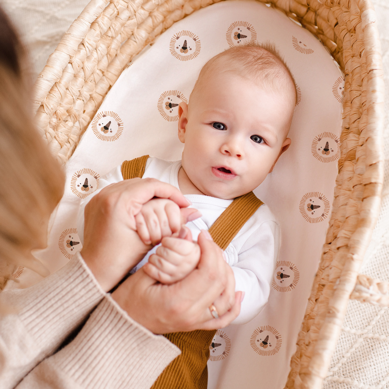 Animal Land | Bassinet Sheets 3-Pack | 17*33''