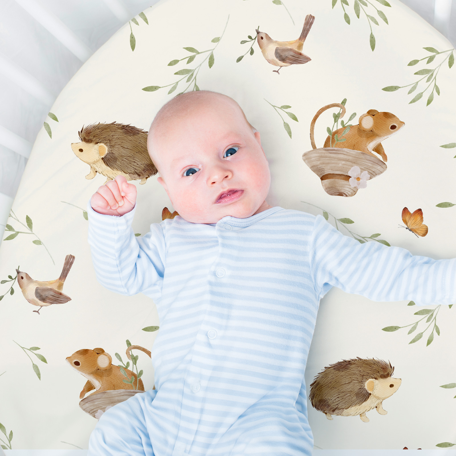 Animal Land | Bassinet Sheets 3-Pack | 17*33''