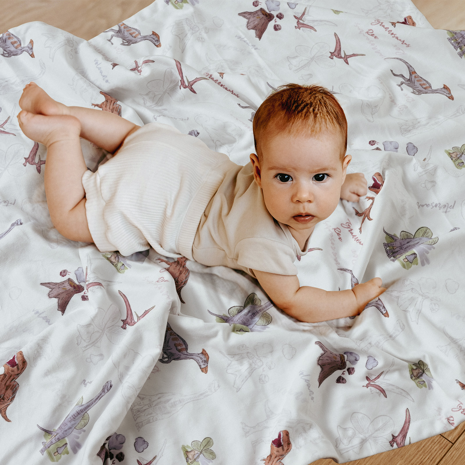 Volcanic Dinosaur | Gllquen baby Fleece Plush Dot Blanket | 30''*40''
