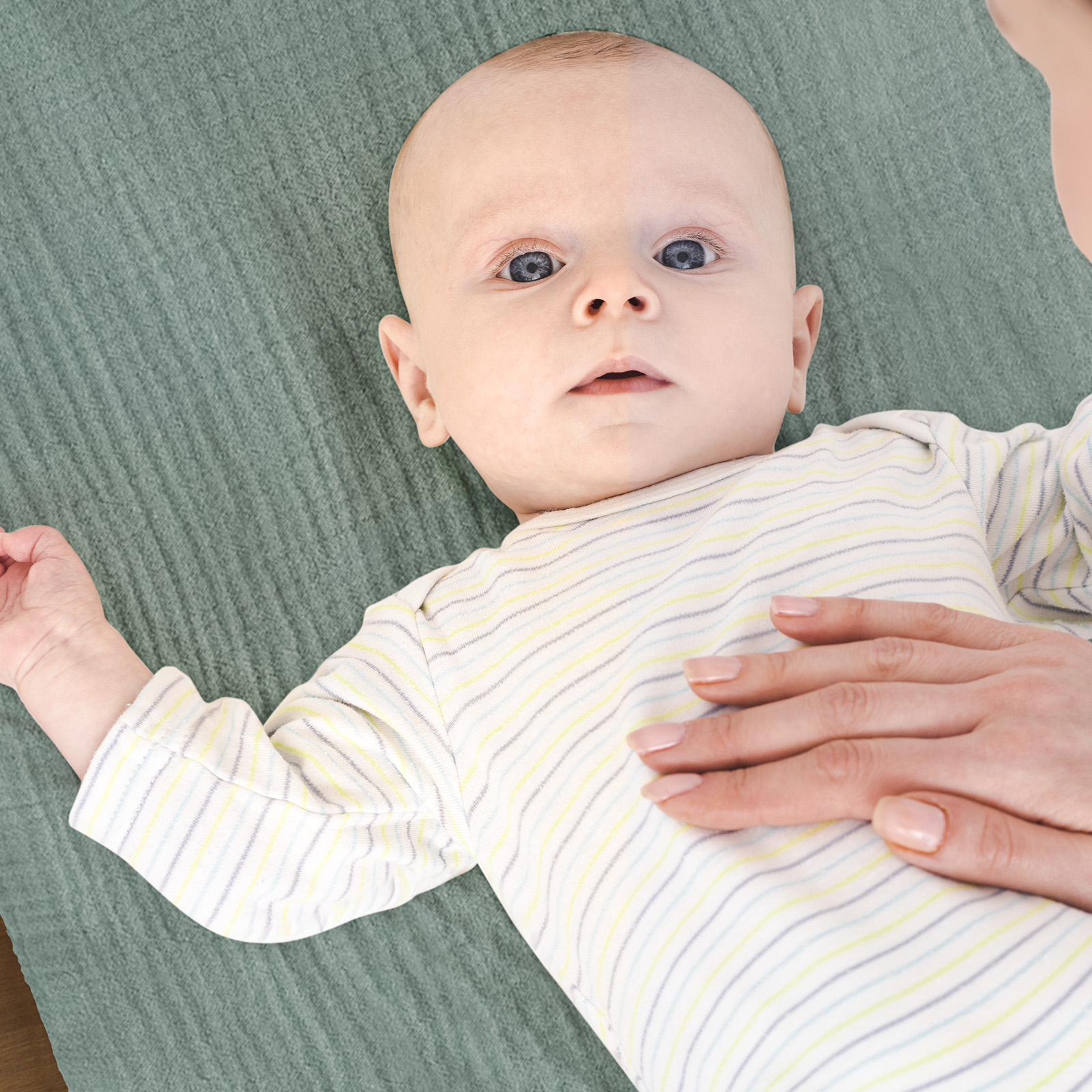 Leafy Green  | Bassinet Sheets 3-Pack | 33''*17''