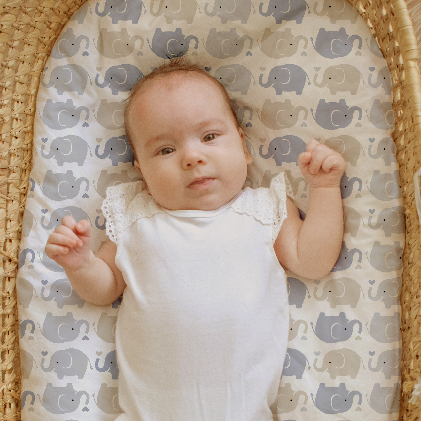 Elephant Land | Baby Bassinet Sheet 2-Pack | 33''*17''