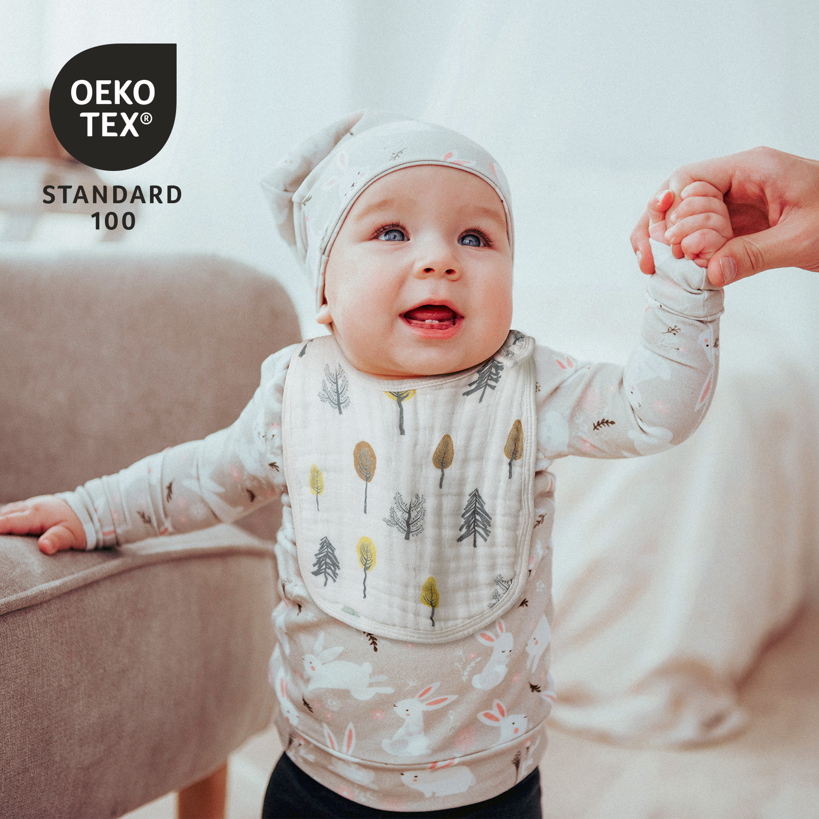 Hedgehog | Organic Cotton Muslin Bandana Bibs 3 Pack