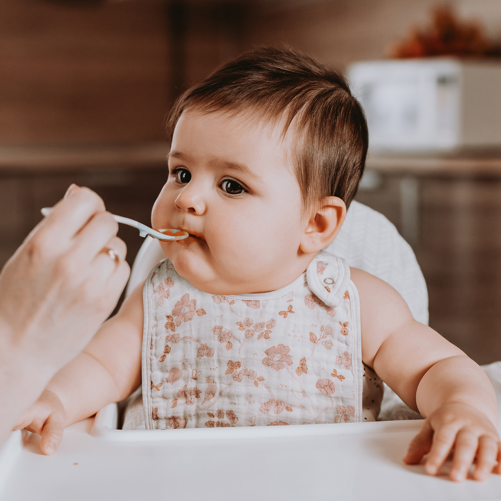 Spring | Organic Cotton Muslin Bandana Bibs 3 Pack