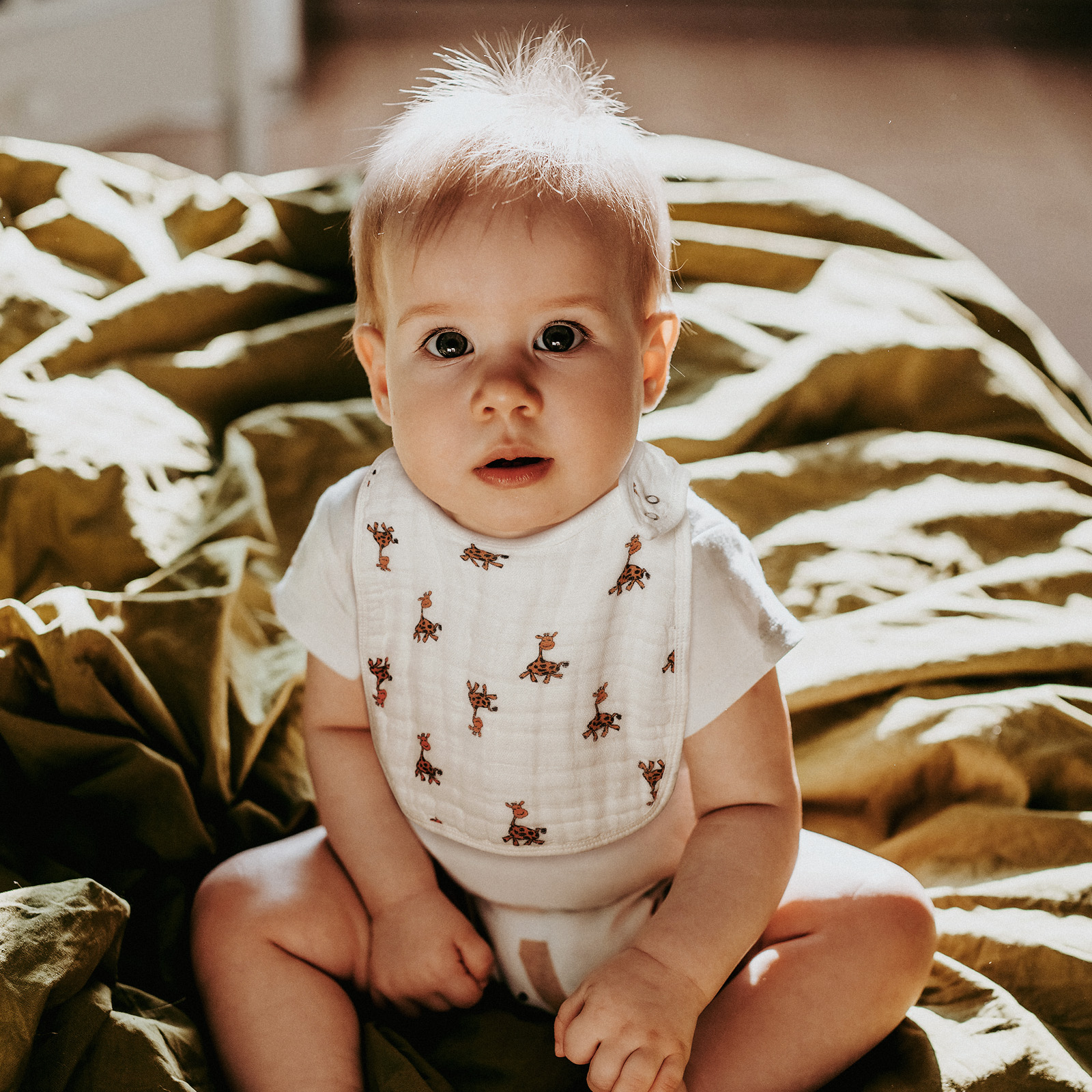 Animal Party | Organic Cotton Muslin Bandana Bibs 3 Pack