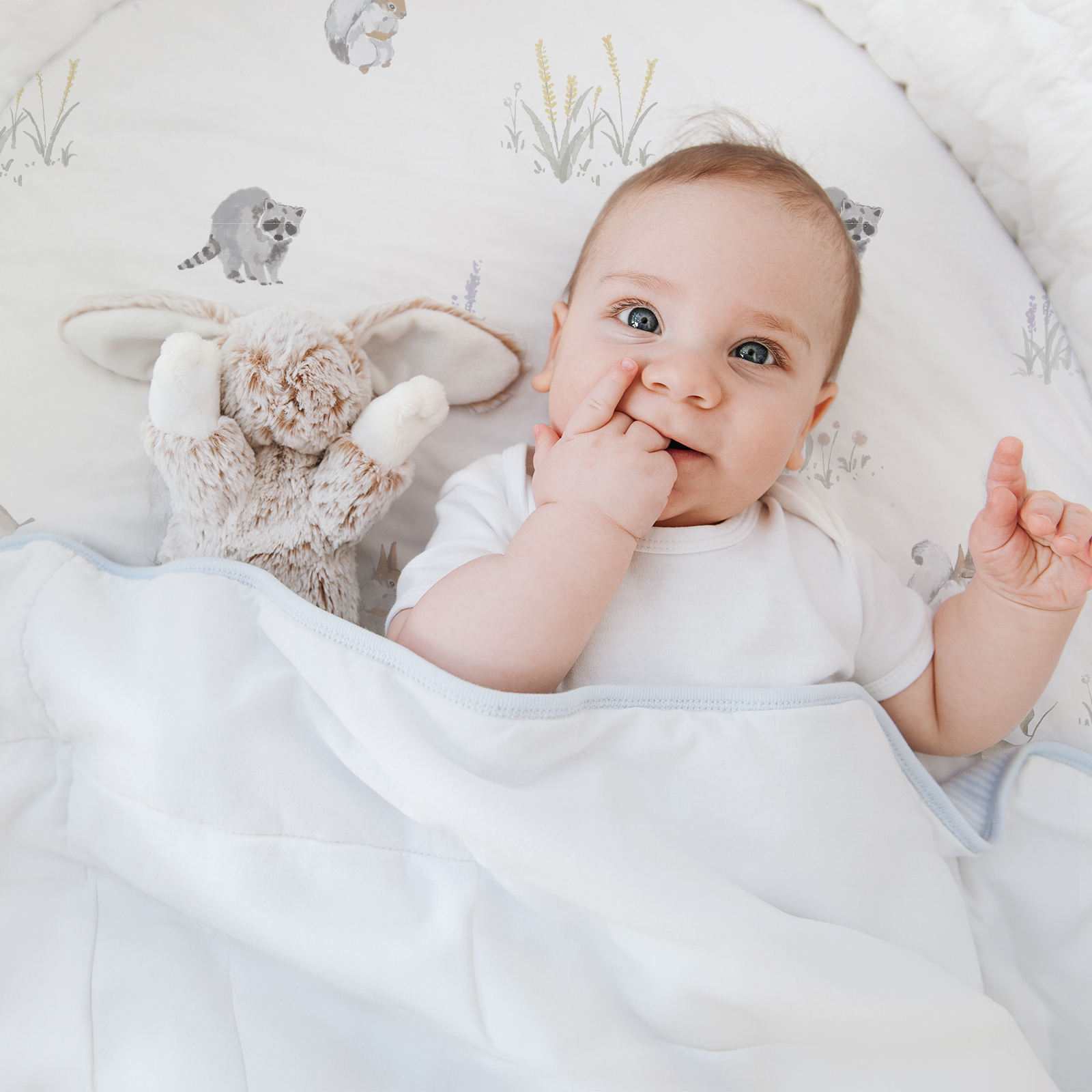 Raccoon | Bassinet Sheets 2-Pack | 16''*32''