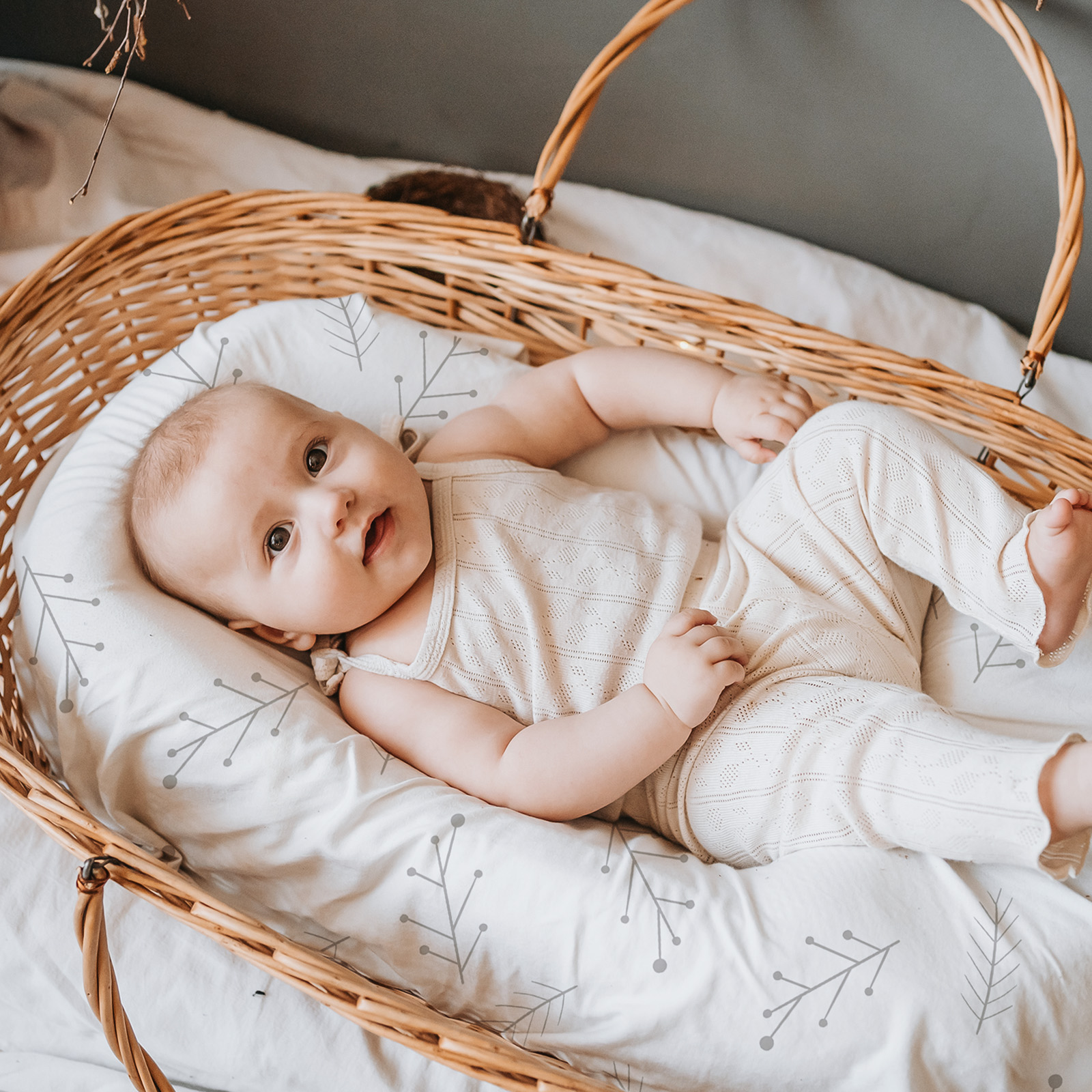 Raccoon | Bassinet Sheets 2-Pack | 16''*32''