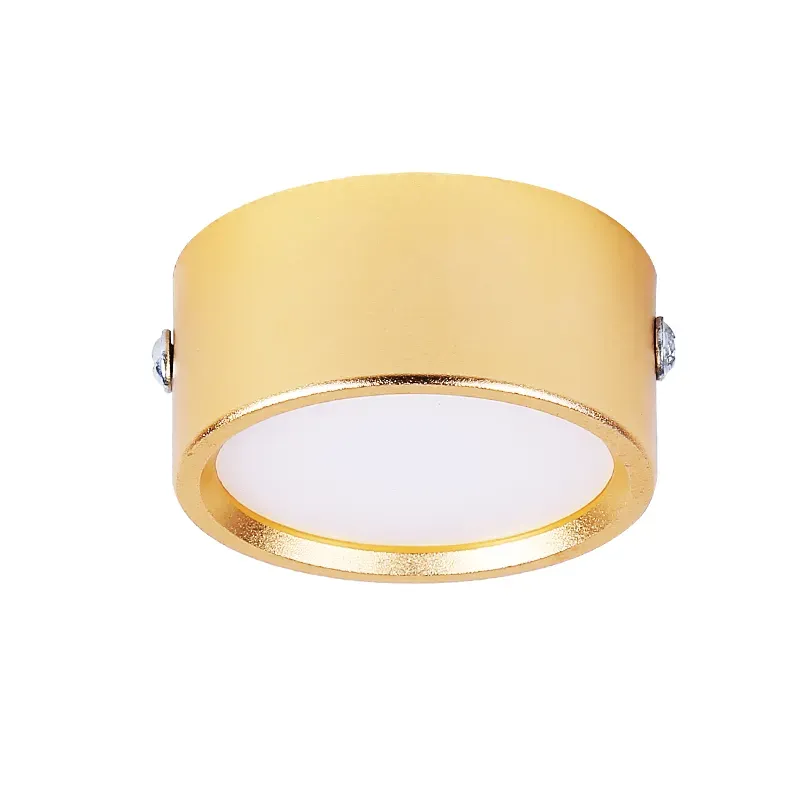 CANMEIJIA LED Ultra-thin Surface Mounted Down Light Round Panel Light