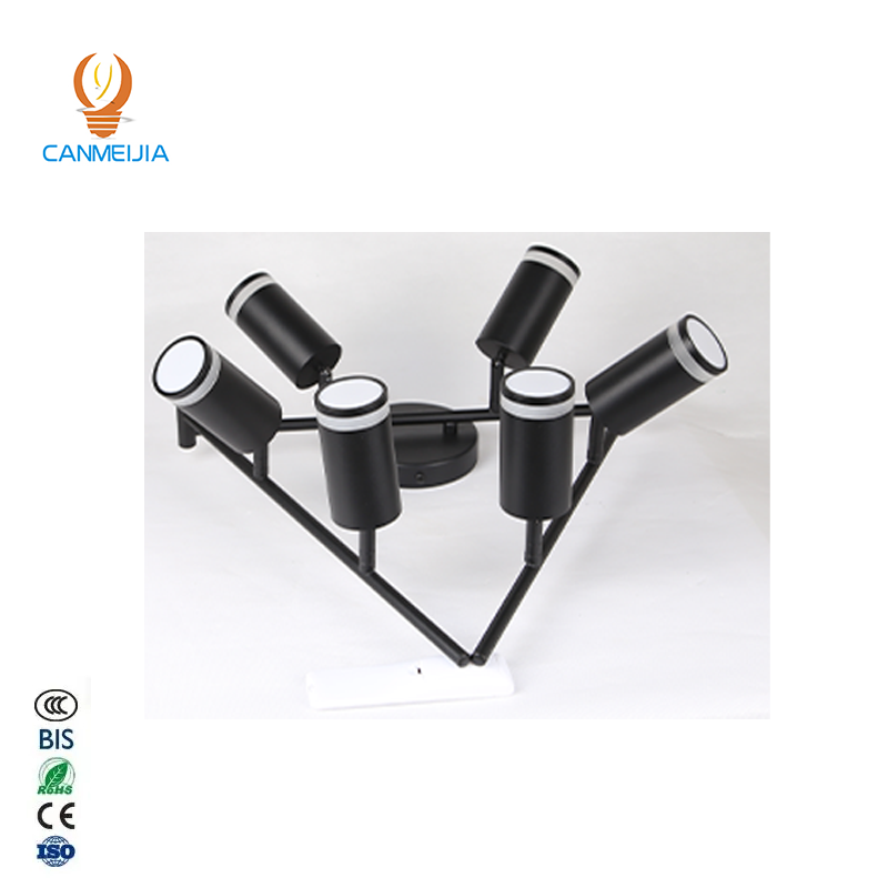 CANMEIJIA  Ceiling spotlight  Straight style with acrylic ring branch shape