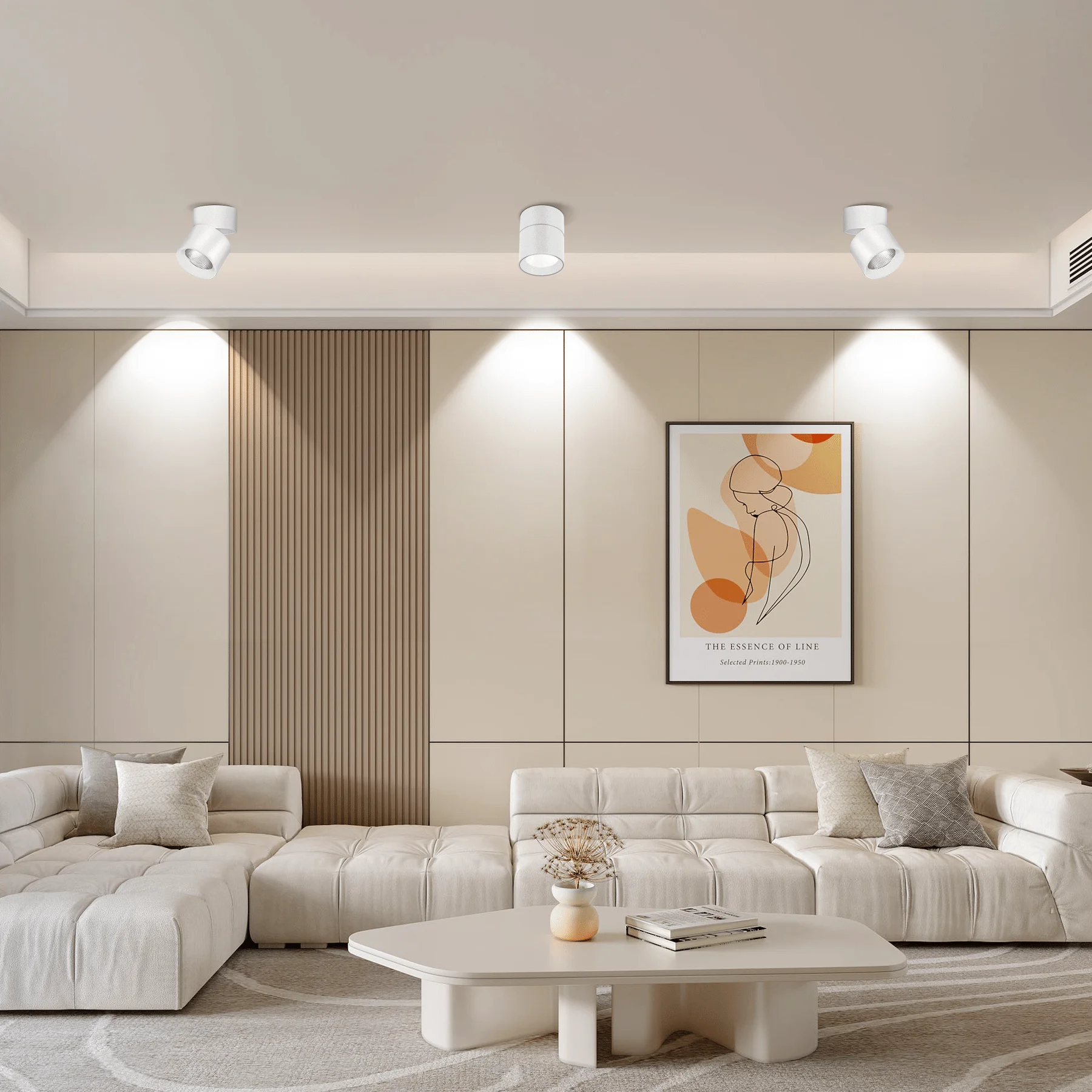 CANMEIJIA LED Surface Mounted Downlight Foldable And Rotatable Spotlight 