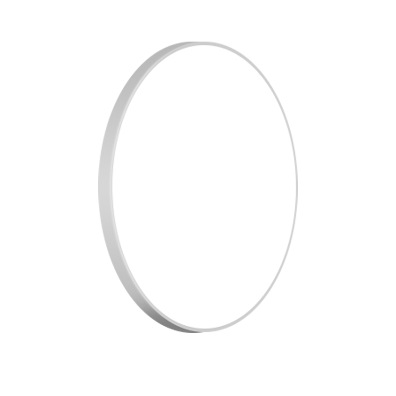 CANMEIJIA LED Ceiling Light Round Infrared Remote Control Smart Gurnit