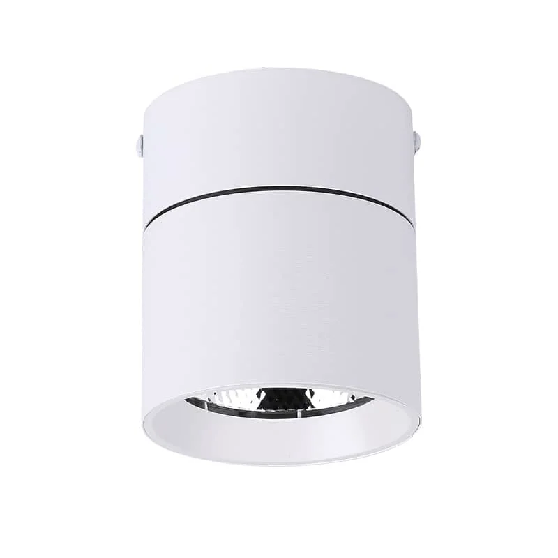 CANMEIJIA LED Ajustables Lámparas de Techo antideslumbrantes para Sala de Estar Foco Plegable de Aluminio