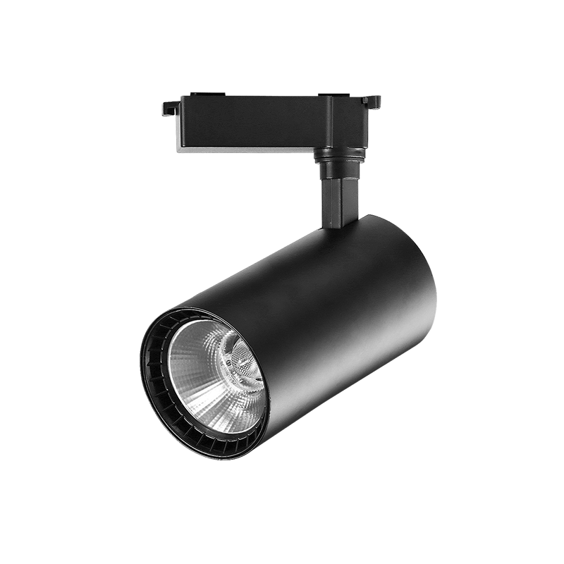 CANMEIJIA LED Track Light COB 2.4G Remote Control + Dimming and Color