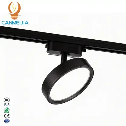2-wire track downlight