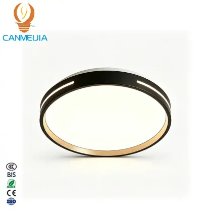 CANMEIJIA Feiyue Split-Type Ceiling Light