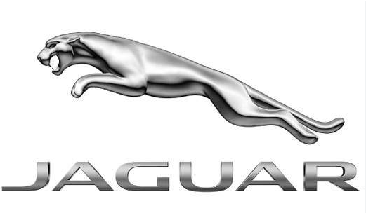 For Jaguar