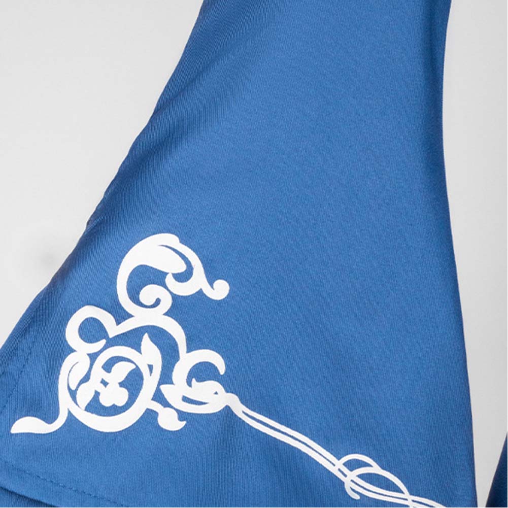 Fate/stay night Saber Altria Pendragon Women Blue Dress Outfits Halloween Carnival Cosplay Costume