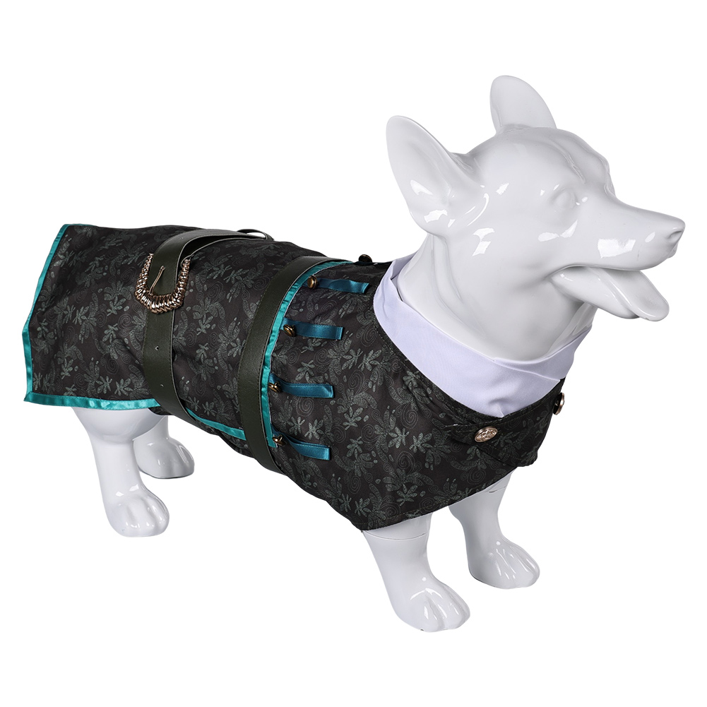 Wicked (2024) Doctor Dillamond Pet Dog Outfits Halloween Carnival Cosplay Costume