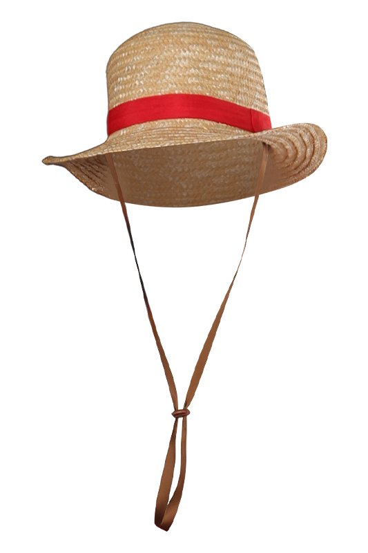 One Piece Luffy Red Outfit Halloween Carnival Cosplay Costume