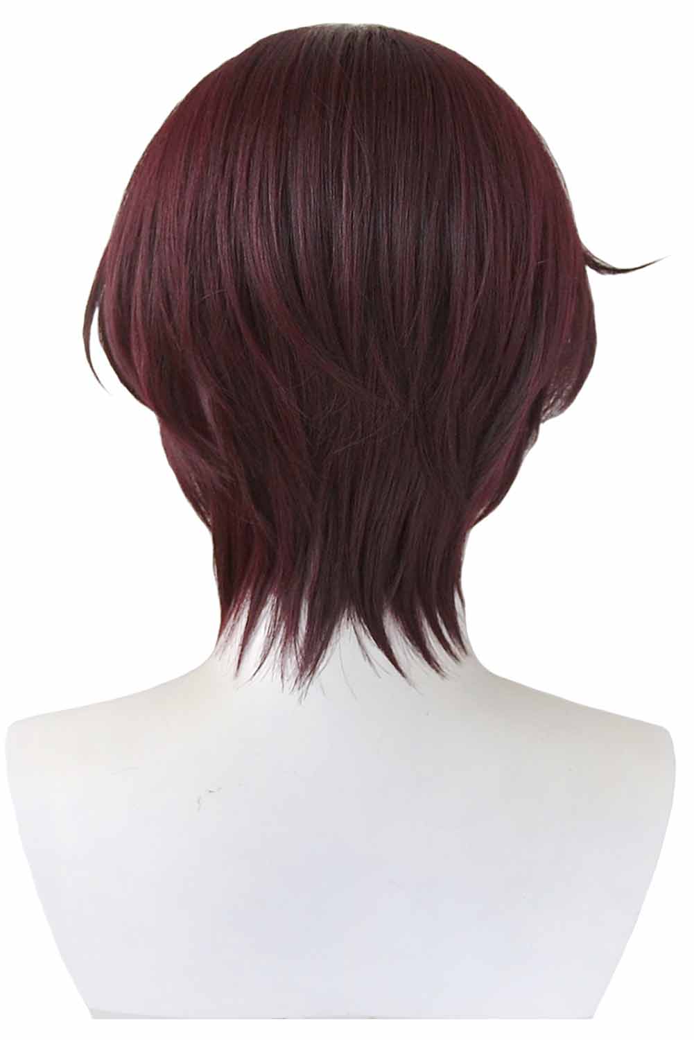 Anime Wind Breaker 2024 Hayato Suou Cosplay Wig Heat Resistant Synthetic Hair Halloween Costume Accessories