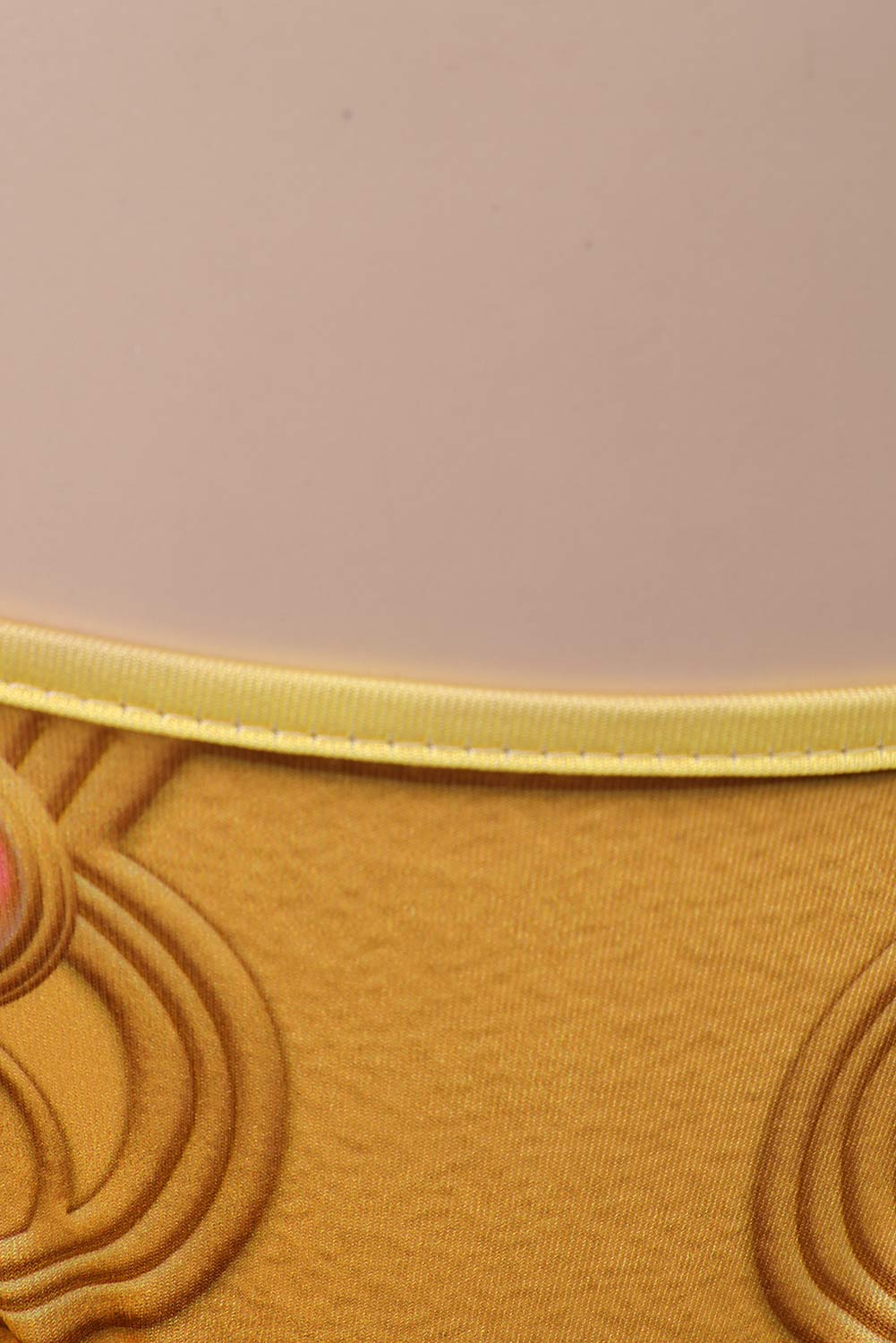 Movie Princess Leia Organa Solo Printed Top Bikinis Set Swimsuit Outfits Halloween Carnival Suit Cosplay Costume