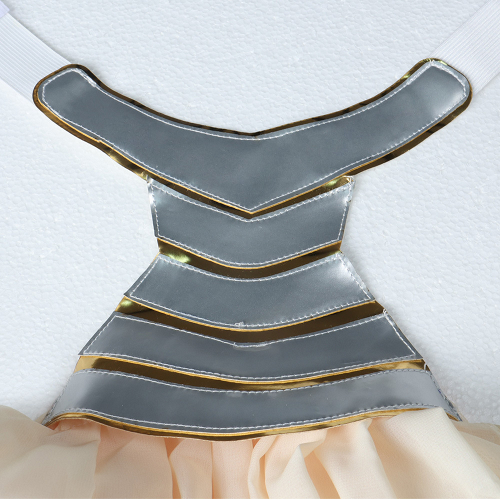 Padmé Amidala Purple Long Dress Outfits Halloween Carnival Cosplay Costume