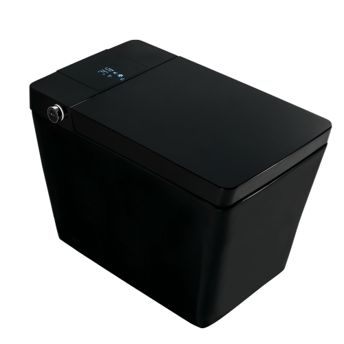 Multifunctional flat square smart toilet with automatic flush with remote control/foot sensor/night light/glass display Matte Black