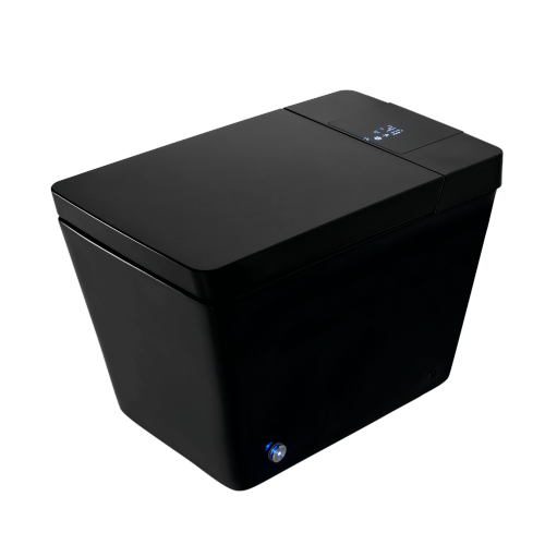 Multifunctional flat square smart toilet with automatic flush with remote control/foot sensor/night light/glass display Matte Black