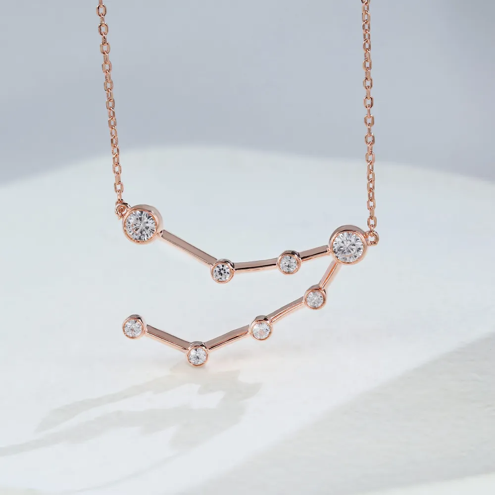 Capricorn - Zodiac Sign Necklace