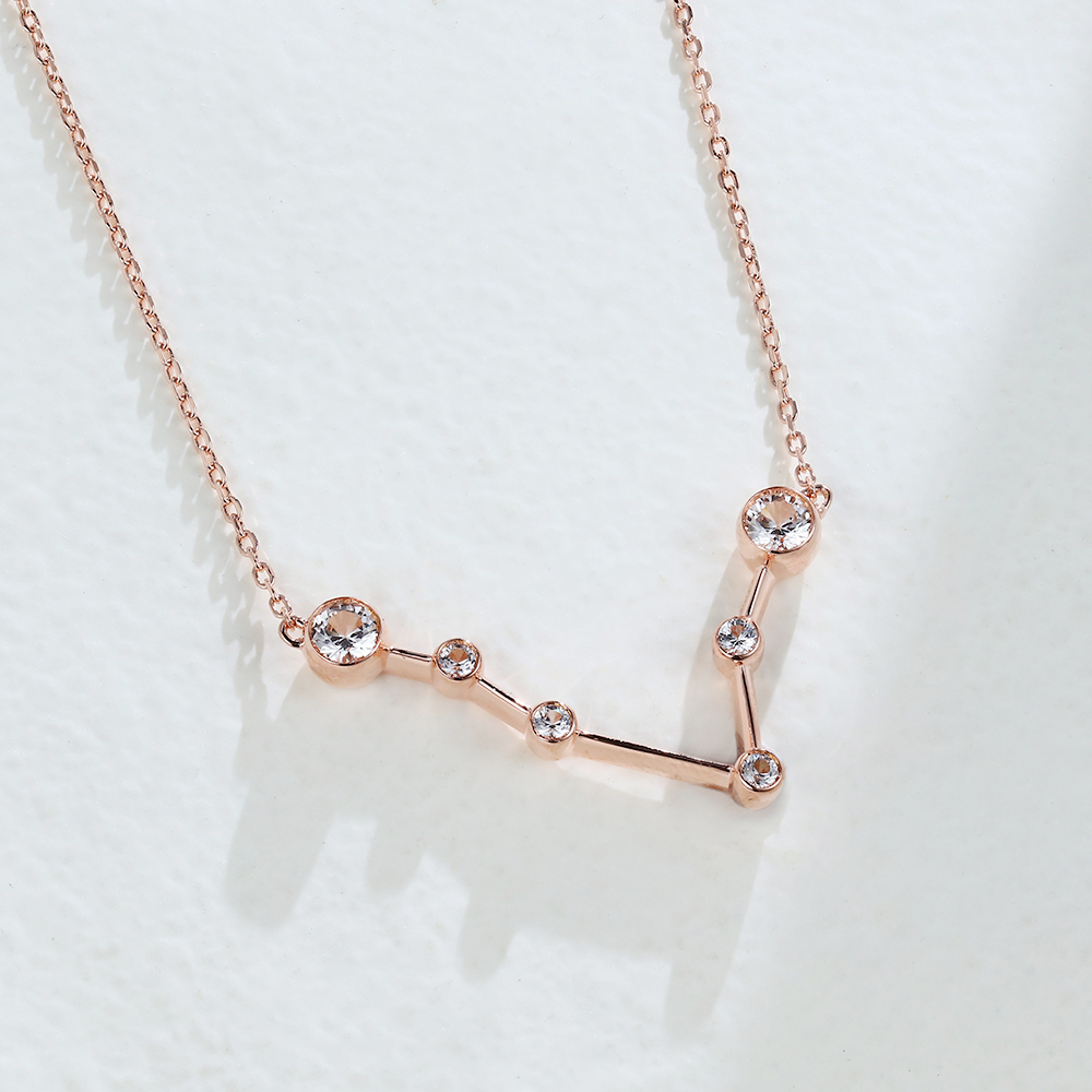 rose gold necklace - Zodiac Sign Necklace
