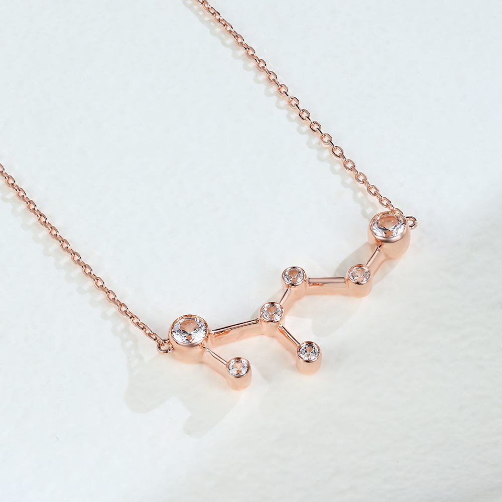 rose gold leo necklace - Zodiac Sign Necklace