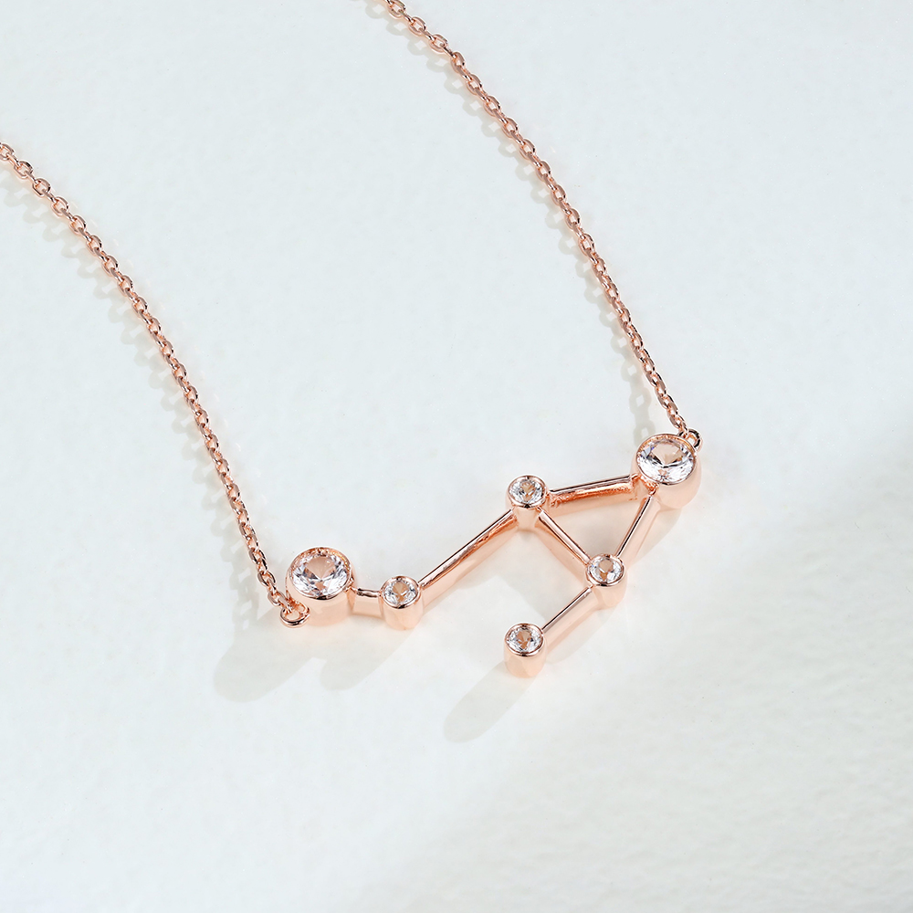 rose gold necklace - Zodiac Sign Necklace