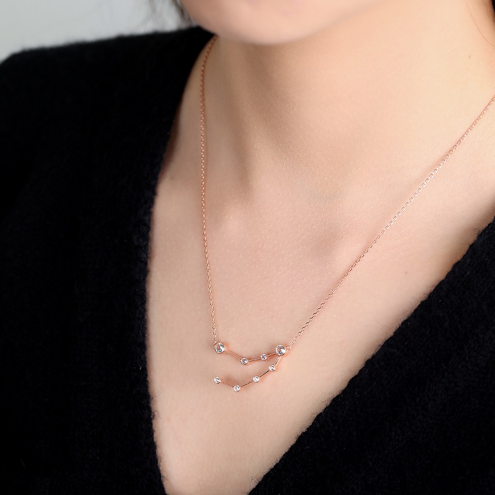 Rose Gold Capricorn Necklace - Zodiac Sign Necklace