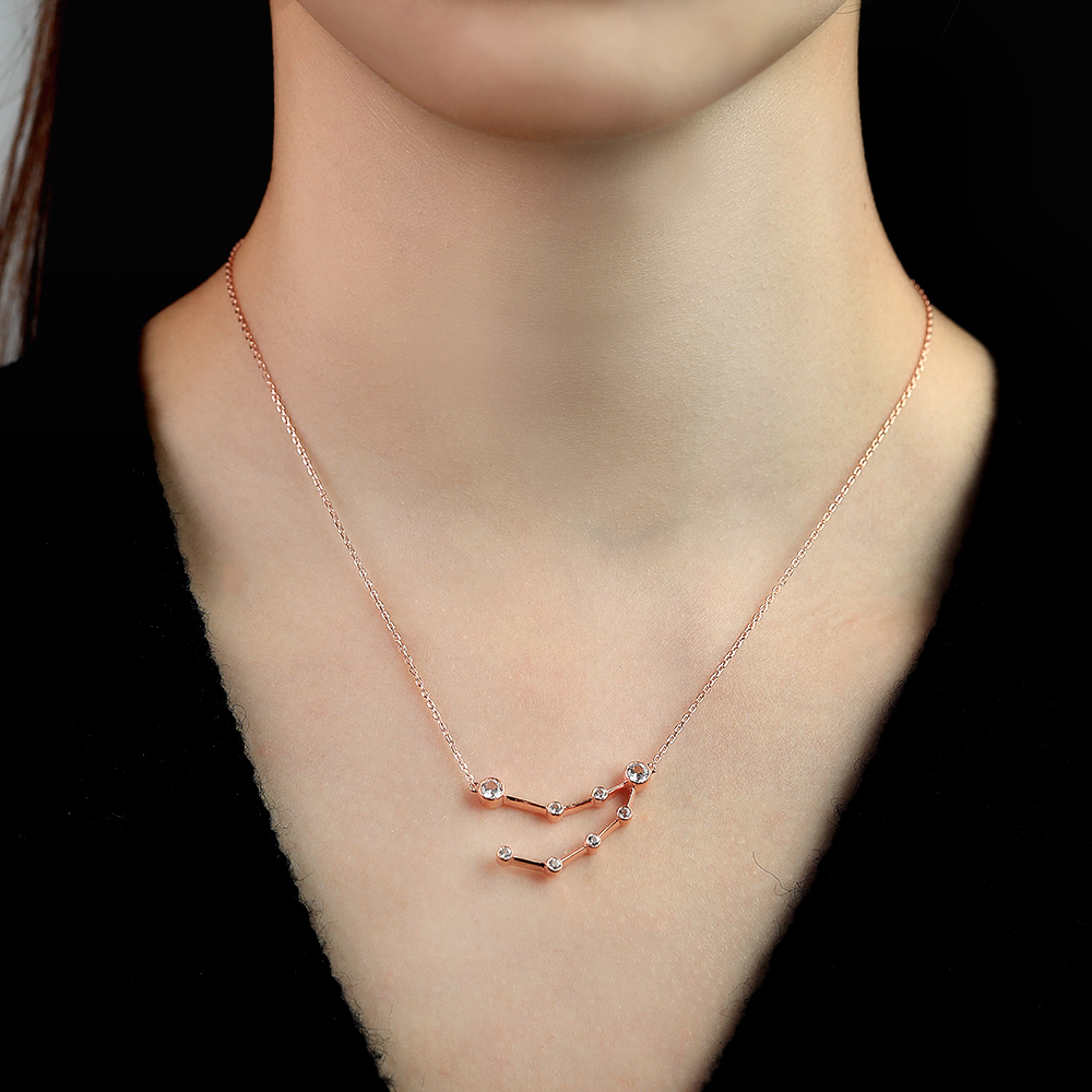 Rose Gold Capricorn Necklace - Zodiac Sign Necklace | Juyoyo