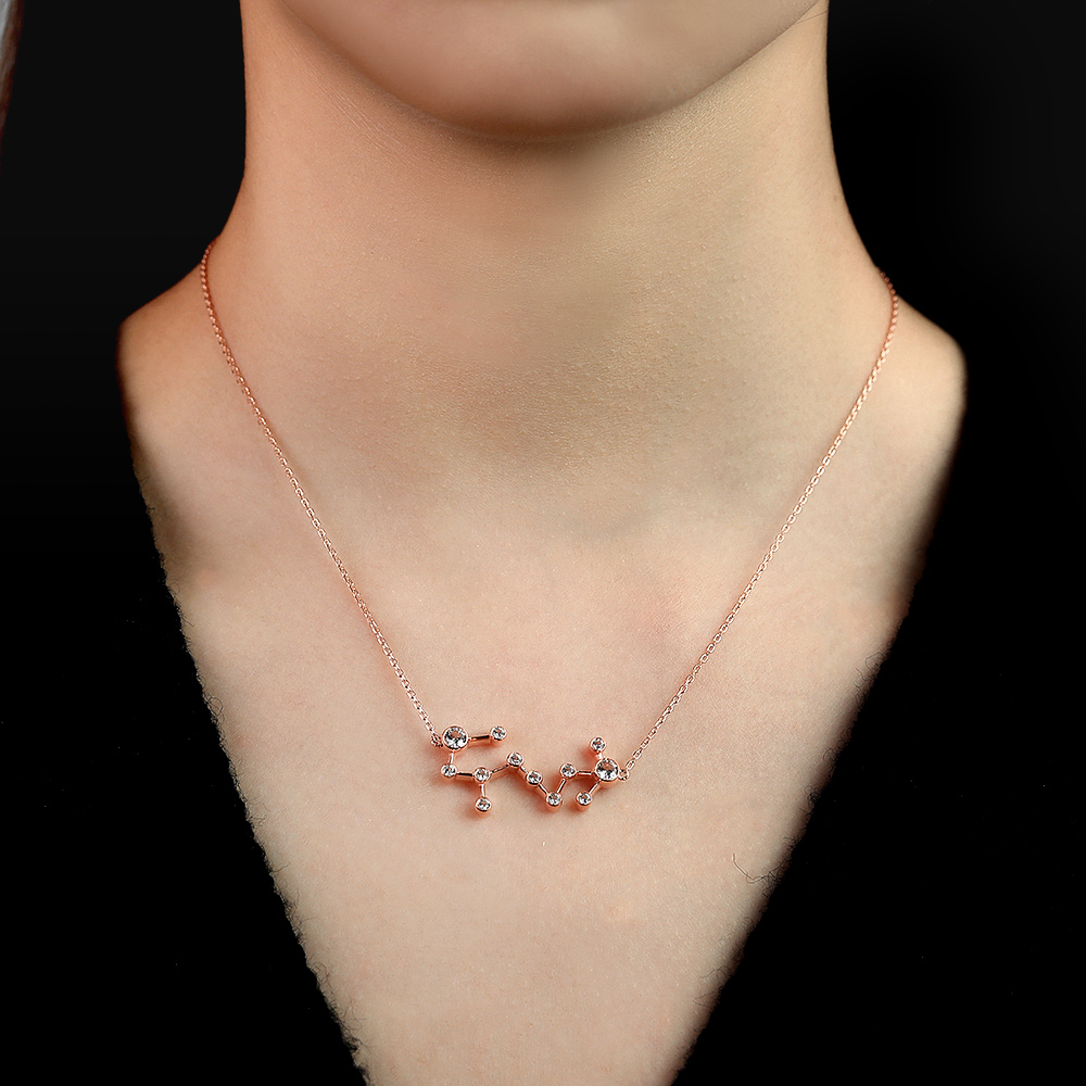 rose gold necklace - Zodiac Sign Necklace