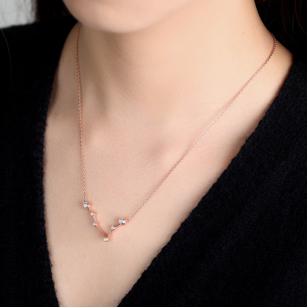 rose gold Pisces necklace - Zodiac Sign Necklace