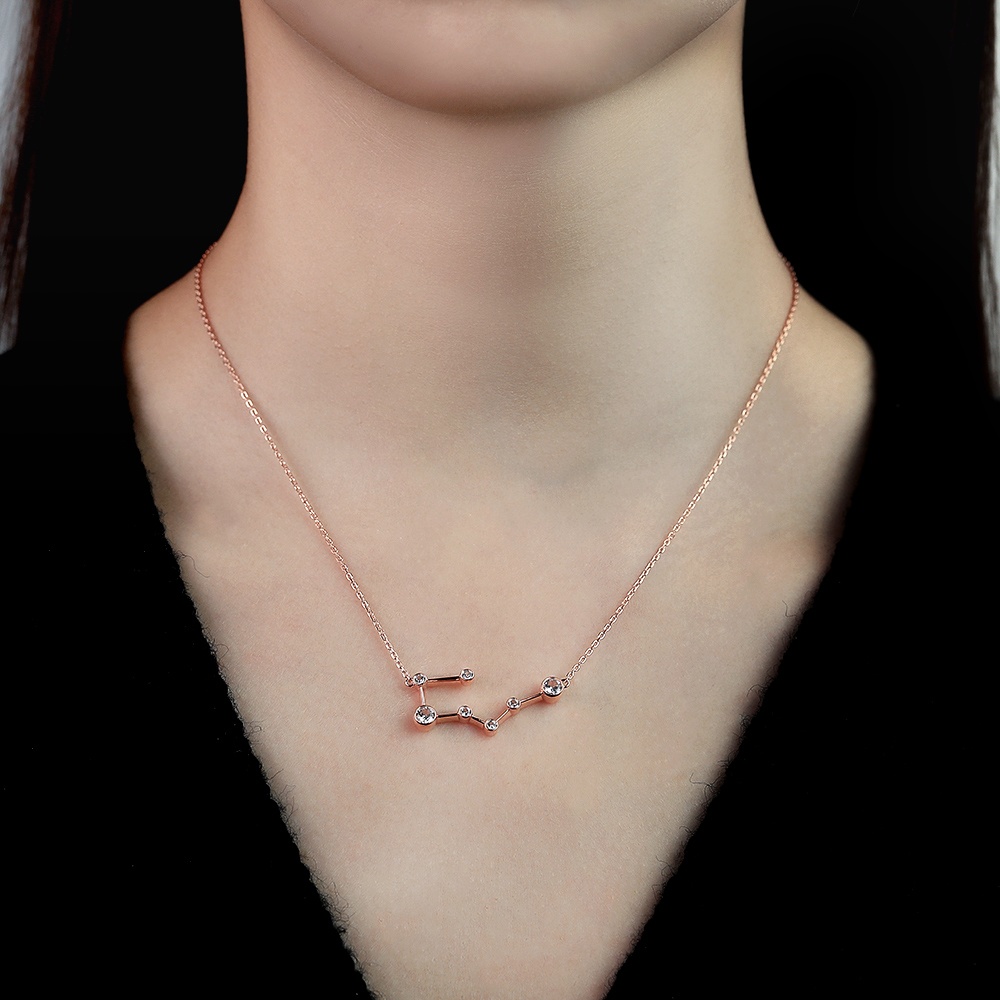 rose gold necklace - Zodiac Sign Necklace