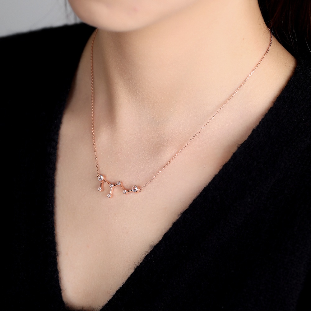 rose gold necklace - Zodiac Sign Necklace