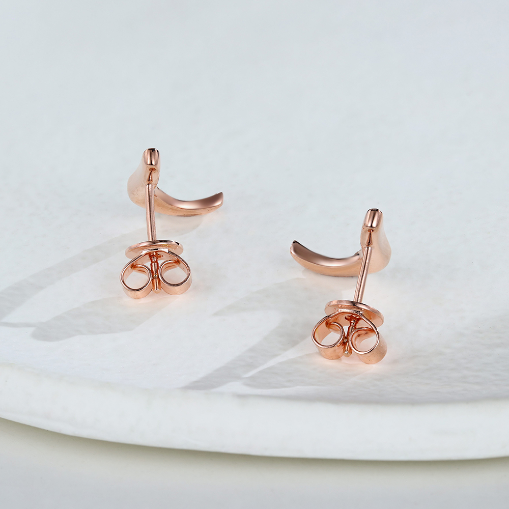 Jubilant Journey White Sapphire Earrings