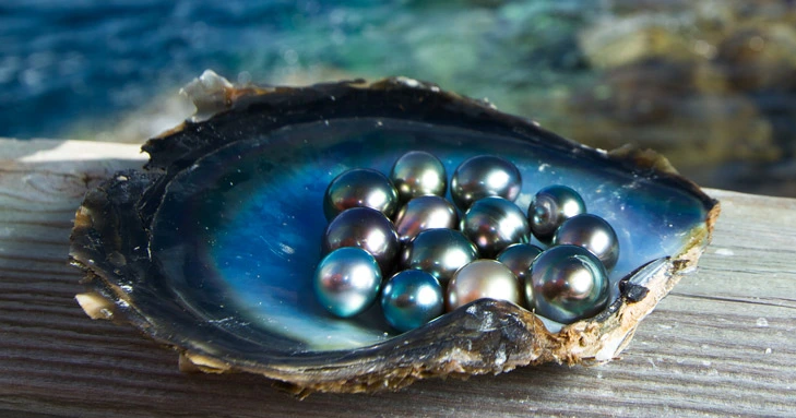 black tahitian pearls