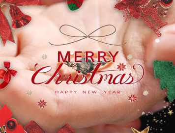 best gifts for the woman who has everything